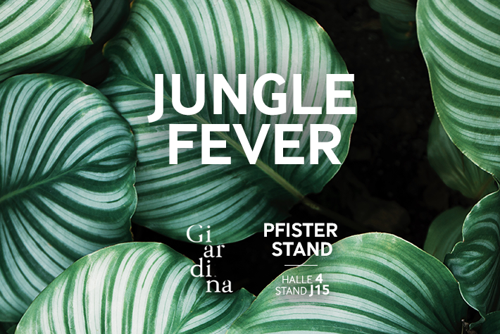 Jungle-Fever